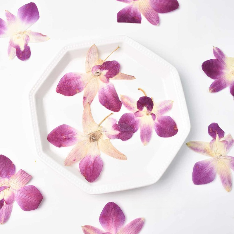 Resin Art Baby - 4 szt., Prawdziwe, prasowane kwiaty orchidei