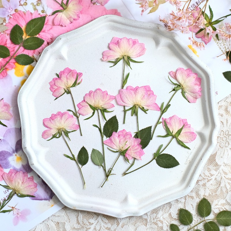 Resin Art Baby - 12 sztuk, prawdziwe suszone i prasowane