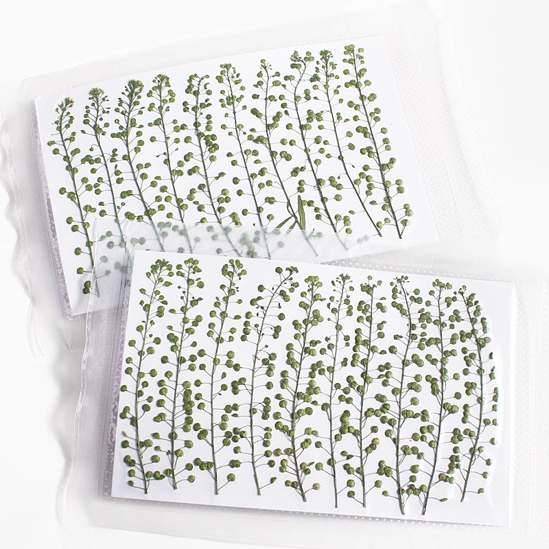Naturalny kolor zielony, suszo – Resin Art Baby recenzja i cena